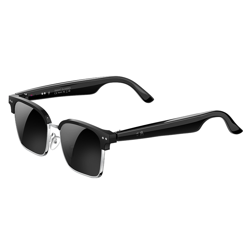 W100D KI-Smart-Brille Echtzeit – Speaker Enclosure Bewertung und Preis